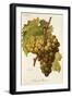 Muscat Pearson Grape-A. Kreyder-Framed Giclee Print