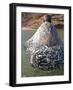 Muscat Region, Bandar Khayran, A Old Fisherman Fishes for Sardines with a Traditional Net, Oman-Mark Hannaford-Framed Photographic Print