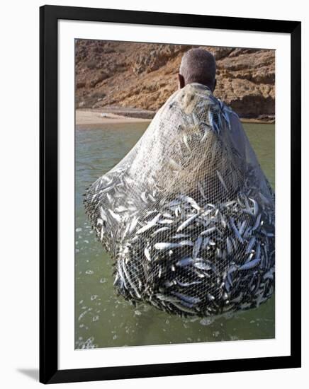 Muscat Region, Bandar Khayran, A Old Fisherman Fishes for Sardines with a Traditional Net, Oman-Mark Hannaford-Framed Photographic Print