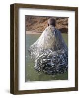 Muscat Region, Bandar Khayran, A Old Fisherman Fishes for Sardines with a Traditional Net, Oman-Mark Hannaford-Framed Photographic Print