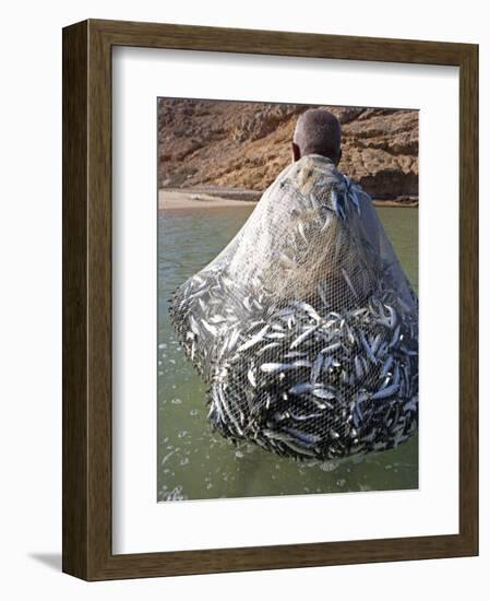 Muscat Region, Bandar Khayran, A Old Fisherman Fishes for Sardines with a Traditional Net, Oman-Mark Hannaford-Framed Photographic Print