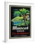 Muscat Vieux Wine Label - Europe-Lantern Press-Framed Art Print