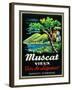 Muscat Vieux Wine Label - Europe-Lantern Press-Framed Art Print