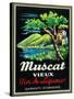 Muscat Vieux Wine Label - Europe-Lantern Press-Stretched Canvas