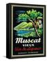 Muscat Vieux Wine Label - Europe-Lantern Press-Framed Stretched Canvas