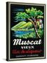 Muscat Vieux Wine Label - Europe-Lantern Press-Stretched Canvas