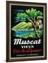 Muscat Vieux Wine Label - Europe-Lantern Press-Framed Art Print