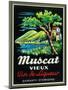 Muscat Vieux Wine Label - Europe-Lantern Press-Mounted Art Print