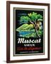 Muscat Vieux Wine Label - Europe-Lantern Press-Framed Art Print