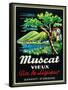 Muscat Vieux Wine Label - Europe-Lantern Press-Framed Stretched Canvas