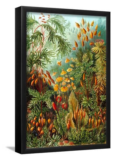 Poster, , large