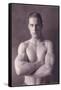 Muscle Man with Arms Crossed-null-Framed Stretched Canvas