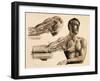 Muscles and Blood Vessels in Arm, 1851-Science Source-Framed Giclee Print