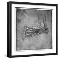 Muscles and Sinews in a Foot, Possibly of a Hare, Late 15th or Early 16th Century-Leonardo da Vinci-Framed Giclee Print