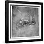 Muscles and Sinews in a Foot, Possibly of a Hare, Late 15th or Early 16th Century-Leonardo da Vinci-Framed Giclee Print