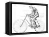 Muscles Used In Cycling, 19th Century-Science Photo Library-Framed Stretched Canvas