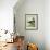 Muscovy Duck-Georges-Louis Buffon-Framed Giclee Print displayed on a wall