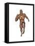 Muscular Man Running-null-Framed Stretched Canvas