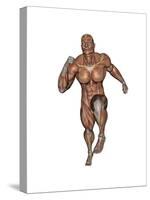 Muscular Man Running-null-Stretched Canvas