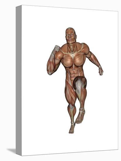 Muscular Man Running-null-Stretched Canvas