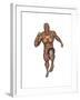 Muscular Man Running-null-Framed Art Print