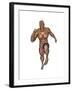 Muscular Man Running-null-Framed Art Print