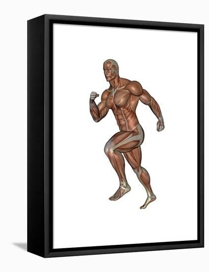 Muscular Man Running-null-Framed Stretched Canvas