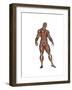 Muscular Man Standing-null-Framed Art Print