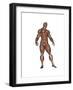 Muscular Man Standing-null-Framed Art Print