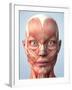 Muscular System of the Head-Roger Harris-Framed Photographic Print