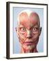 Muscular System of the Head-Roger Harris-Framed Photographic Print