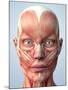 Muscular System of the Head-Roger Harris-Mounted Photographic Print