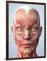 Muscular System of the Head-Roger Harris-Framed Photographic Print