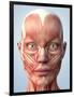 Muscular System of the Head-Roger Harris-Framed Photographic Print