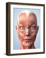 Muscular System of the Head-Roger Harris-Framed Photographic Print