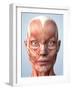 Muscular System of the Head-Roger Harris-Framed Photographic Print