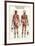 Muscular System-null-Framed Poster