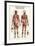 Muscular System-null-Framed Poster