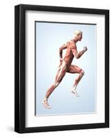 Muscular System-Roger Harris-Framed Premium Photographic Print