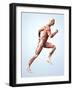 Muscular System-Roger Harris-Framed Photographic Print