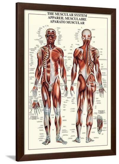 Poster, , large