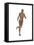 Muscular Woman Running-null-Framed Stretched Canvas