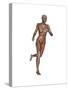 Muscular Woman Running-null-Stretched Canvas