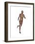 Muscular Woman Running-null-Framed Art Print