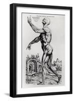 Musculature Structure of a Man-Andreas Vesalius-Framed Giclee Print