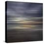 Muse-Doug Chinnery-Stretched Canvas