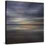 Muse-Doug Chinnery-Stretched Canvas