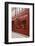 Musee Grevin in Passage Jouffroy, Central Paris, France, Europe-Julian Elliott-Framed Photographic Print