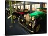Musee National de l'Automobile, Bugatti Grille, Haut Rhin, France-Walter Bibikow-Stretched Canvas