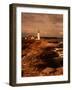 Museum and Portland Head Light House at Cape Elizabeth, Portland, Maine, Portland, USA-Mark Newman-Framed Photographic Print